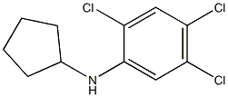 2,4,5-trichloro-N-cyclopentylaniline Structure