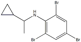 2,4,6-tribromo-N-(1-cyclopropylethyl)aniline Structure