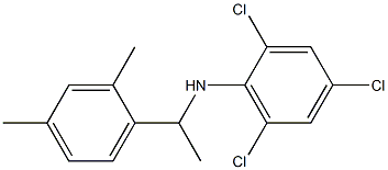 2,4,6-trichloro-N-[1-(2,4-dimethylphenyl)ethyl]aniline Structure