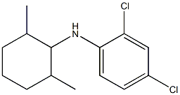 2,4-dichloro-N-(2,6-dimethylcyclohexyl)aniline Structure