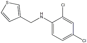 2,4-dichloro-N-(thiophen-3-ylmethyl)aniline 구조식 이미지