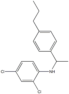 2,4-dichloro-N-[1-(4-propylphenyl)ethyl]aniline 구조식 이미지