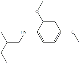 2,4-dimethoxy-N-(2-methylbutyl)aniline Structure