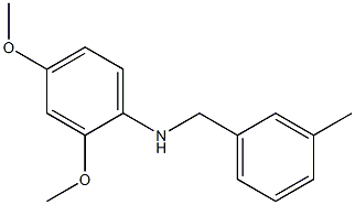 2,4-dimethoxy-N-[(3-methylphenyl)methyl]aniline 구조식 이미지