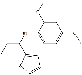 2,4-dimethoxy-N-[1-(thiophen-2-yl)propyl]aniline Structure