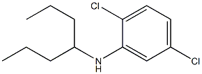 2,5-dichloro-N-(heptan-4-yl)aniline Structure