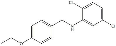 2,5-dichloro-N-[(4-ethoxyphenyl)methyl]aniline 구조식 이미지