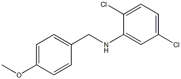 2,5-dichloro-N-[(4-methoxyphenyl)methyl]aniline 구조식 이미지