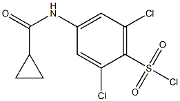 2,6-dichloro-4-[(cyclopropylcarbonyl)amino]benzenesulfonyl chloride 구조식 이미지