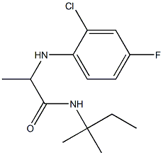 2-[(2-chloro-4-fluorophenyl)amino]-N-(2-methylbutan-2-yl)propanamide Structure