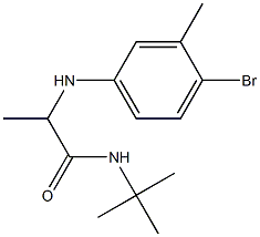 2-[(4-bromo-3-methylphenyl)amino]-N-tert-butylpropanamide Structure