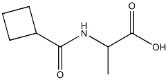 2-[(cyclobutylcarbonyl)amino]propanoic acid Structure