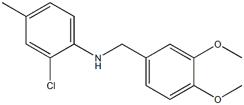 2-chloro-N-[(3,4-dimethoxyphenyl)methyl]-4-methylaniline Structure