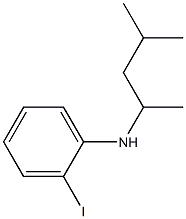 2-iodo-N-(4-methylpentan-2-yl)aniline 구조식 이미지