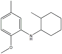 2-methoxy-5-methyl-N-(2-methylcyclohexyl)aniline 구조식 이미지