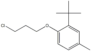 2-tert-butyl-1-(3-chloropropoxy)-4-methylbenzene 구조식 이미지