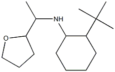 2-tert-butyl-N-[1-(oxolan-2-yl)ethyl]cyclohexan-1-amine 구조식 이미지