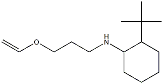 2-tert-butyl-N-[3-(ethenyloxy)propyl]cyclohexan-1-amine Structure