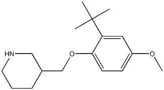 3-(2-tert-butyl-4-methoxyphenoxymethyl)piperidine 구조식 이미지