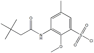 3-(3,3-dimethylbutanamido)-2-methoxy-5-methylbenzene-1-sulfonyl chloride Structure