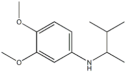 3,4-dimethoxy-N-(3-methylbutan-2-yl)aniline Structure