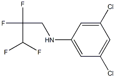 3,5-dichloro-N-(2,2,3,3-tetrafluoropropyl)aniline 구조식 이미지