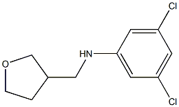 3,5-dichloro-N-(oxolan-3-ylmethyl)aniline 구조식 이미지
