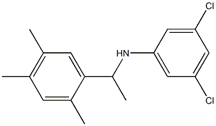 3,5-dichloro-N-[1-(2,4,5-trimethylphenyl)ethyl]aniline Structure