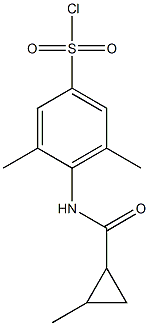 3,5-dimethyl-4-[(2-methylcyclopropane)amido]benzene-1-sulfonyl chloride Structure