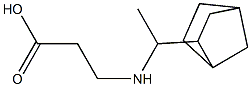 3-[(1-{bicyclo[2.2.1]heptan-2-yl}ethyl)amino]propanoic acid Structure