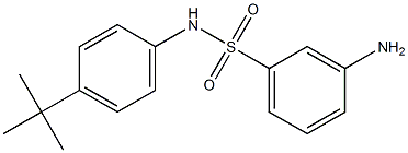 3-amino-N-(4-tert-butylphenyl)benzene-1-sulfonamide 구조식 이미지