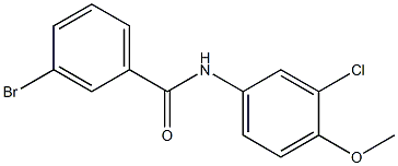 3-bromo-N-(3-chloro-4-methoxyphenyl)benzamide 구조식 이미지