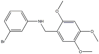 3-bromo-N-[(2,4,5-trimethoxyphenyl)methyl]aniline Structure