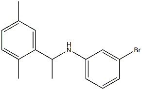 3-bromo-N-[1-(2,5-dimethylphenyl)ethyl]aniline 구조식 이미지