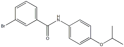 3-bromo-N-[4-(propan-2-yloxy)phenyl]benzamide Structure