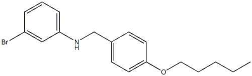 3-bromo-N-{[4-(pentyloxy)phenyl]methyl}aniline 구조식 이미지
