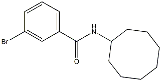 3-bromo-N-cyclooctylbenzamide 구조식 이미지