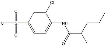 3-chloro-4-(2-methylpentanamido)benzene-1-sulfonyl chloride Structure