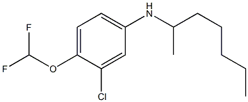 3-chloro-4-(difluoromethoxy)-N-(heptan-2-yl)aniline Structure