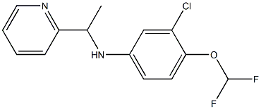 3-chloro-4-(difluoromethoxy)-N-[1-(pyridin-2-yl)ethyl]aniline 구조식 이미지