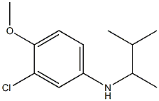 3-chloro-4-methoxy-N-(3-methylbutan-2-yl)aniline Structure