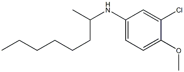 3-chloro-4-methoxy-N-(octan-2-yl)aniline 구조식 이미지