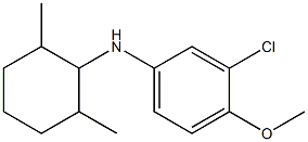 3-chloro-N-(2,6-dimethylcyclohexyl)-4-methoxyaniline Structure
