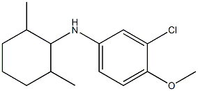 3-chloro-N-(2,6-dimethylcyclohexyl)-4-methoxyaniline 구조식 이미지