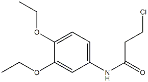 3-chloro-N-(3,4-diethoxyphenyl)propanamide Structure