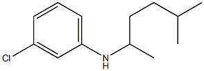 3-chloro-N-(5-methylhexan-2-yl)aniline Structure