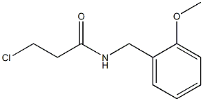 3-chloro-N-[(2-methoxyphenyl)methyl]propanamide Structure