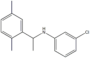 3-chloro-N-[1-(2,5-dimethylphenyl)ethyl]aniline Structure