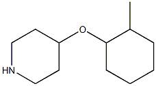 4-[(2-methylcyclohexyl)oxy]piperidine Structure