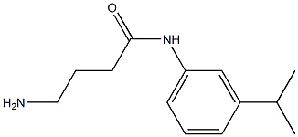 4-amino-N-[3-(propan-2-yl)phenyl]butanamide Structure
